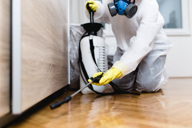 Best Affordable Pest Control Services  in Fairfax Station, VA