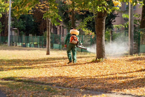 Best Cockroach Control Services  in Fairfax Station, VA